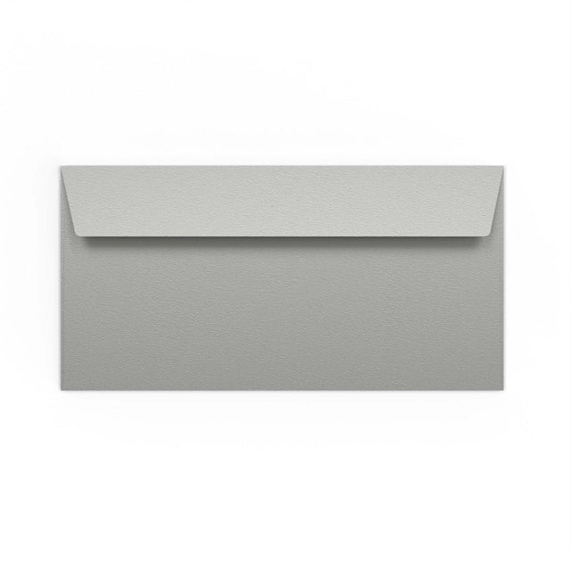 DL Silver Peel & Seal Coloured Envelope (110 x 220mm)