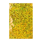 Sachets Alus Holographiques